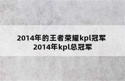 2014年的王者荣耀kpl冠军 2014年kpl总冠军